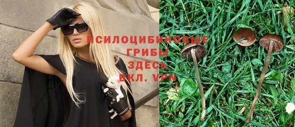 ГАЛЛЮЦИНОГЕННЫЕ ГРИБЫ Беломорск