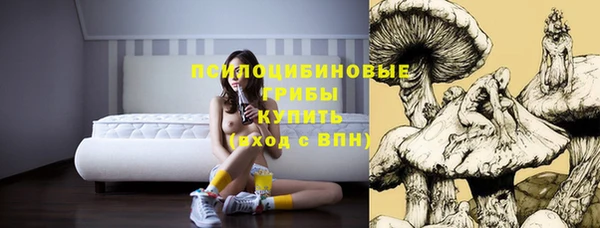 ГАЛЛЮЦИНОГЕННЫЕ ГРИБЫ Беломорск