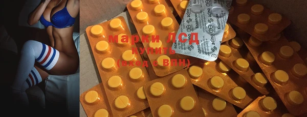 ГАЛЛЮЦИНОГЕННЫЕ ГРИБЫ Беломорск