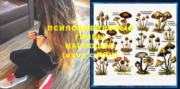 бошки Баксан