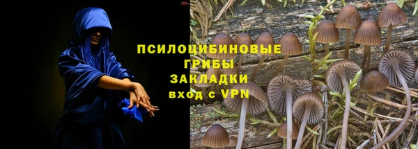 ГАЛЛЮЦИНОГЕННЫЕ ГРИБЫ Беломорск