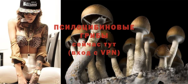 дживик Белоозёрский