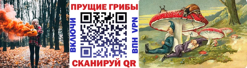 Псилоцибиновые грибы Psilocybe  Невьянск 